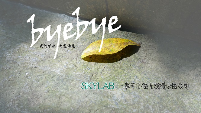 SKYLAB，一家做无线模块的公司